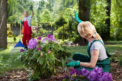 Patio cleaning in Forest Gate on a moss-covered paved surface
