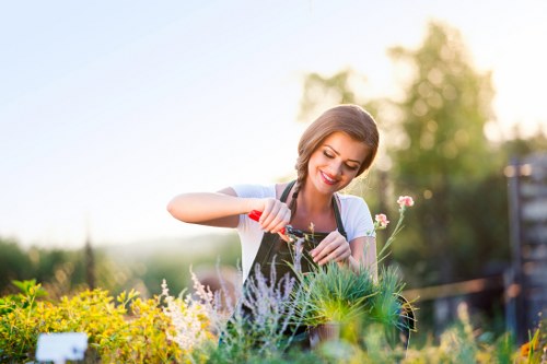 Professional lawn mowing service in a Forest Gate garden