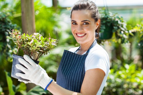 Border weeding and garden clearance in Forest Gate