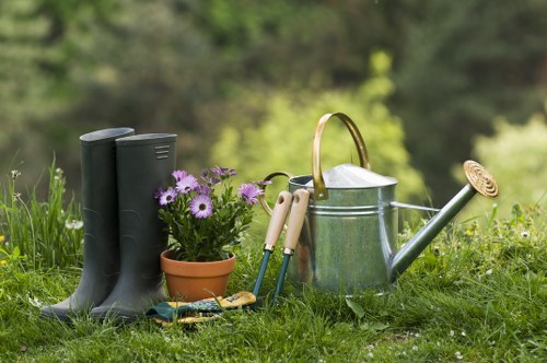 Weed and moss treatment for Forest Gate lawn