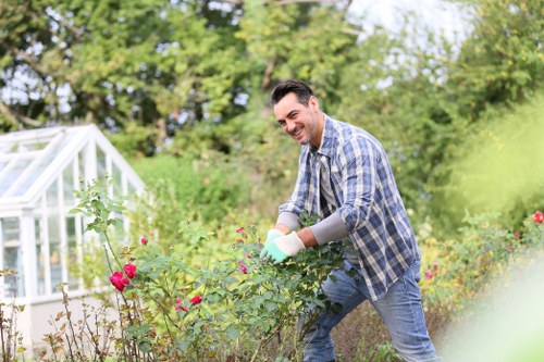 Seasonal garden maintenance and planting in Forest Gate