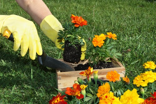 Professional garden maintenance in Forest Gate with seasonal planting