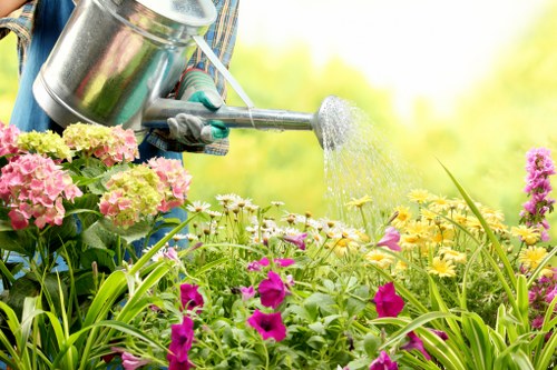 Forest Gate garden care improving a tidy outdoor space
