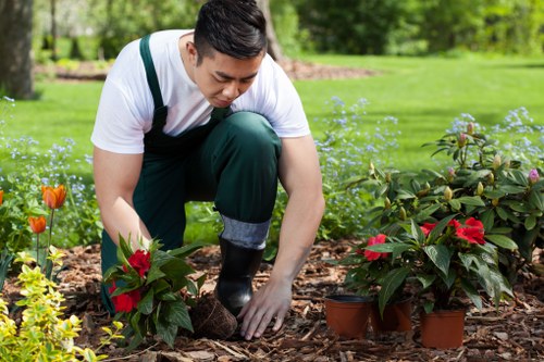 Lawn care and edging in a neat Forest Gate outdoor space