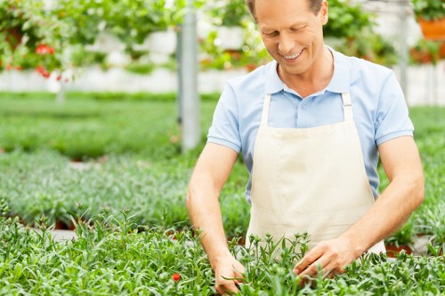 Low-maintenance garden design ideas for Forest Gate homes