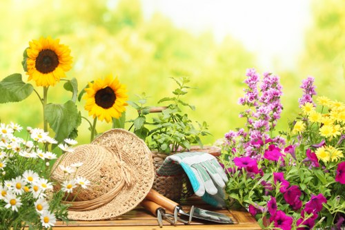 Charity reuse of garden items and materials from a Forest Gate landscaping project