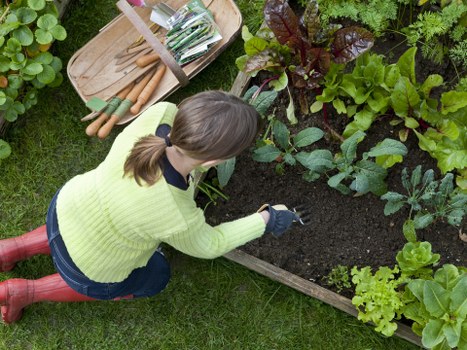 Outdoor gardening tools handled carefully in a controlled work area