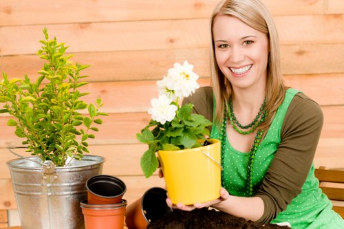 Accessible Forest Gate gardening content reviewed for clarity and usability