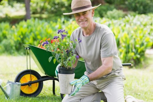 Seasonal hedge care and pruning for a tidy Forest Gate property