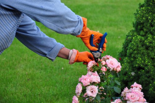 Gardeners Forest Gate creating a well-kept garden in East London