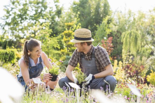 Garden clearance and landscaping support in Forest Gate