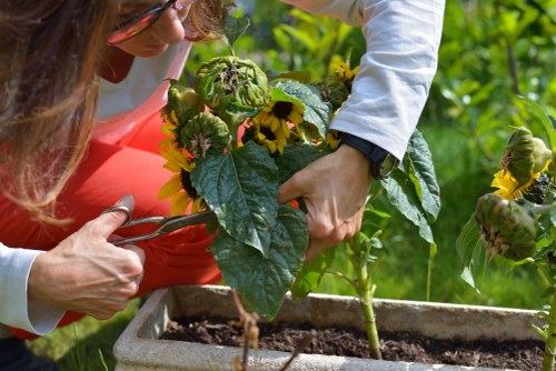 Forest Gate gardening sustainability with recycling, reuse, and low-emission transport